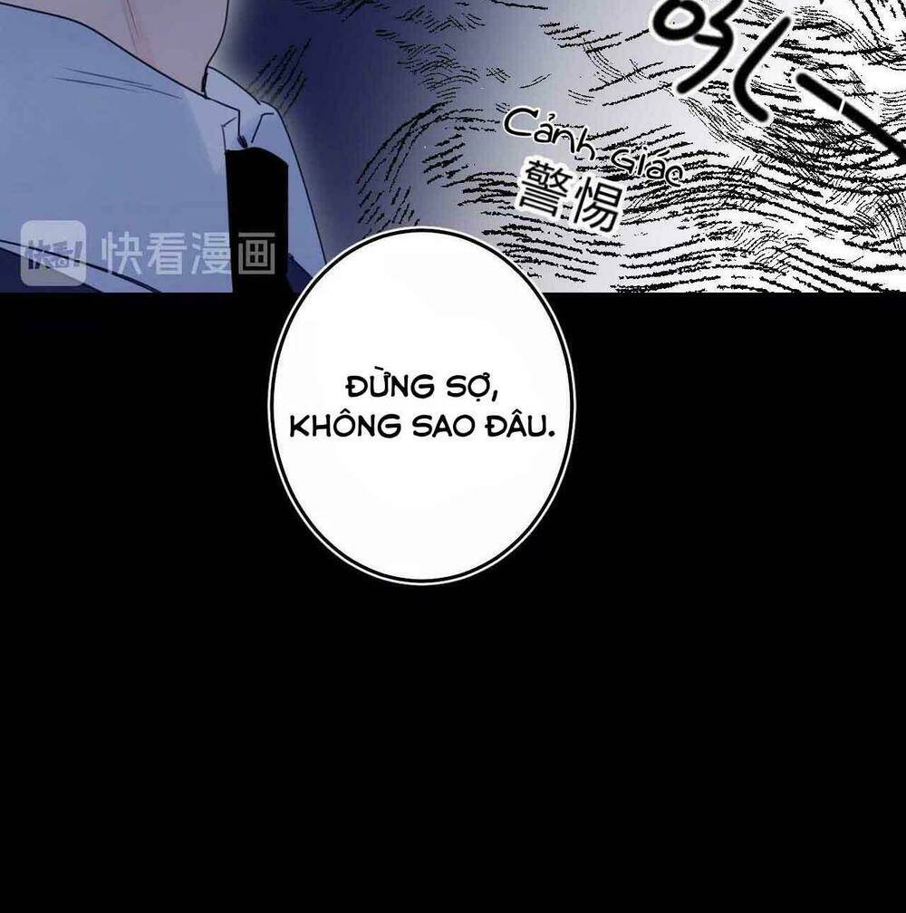 phù thủy hạng bét chapter 39 - Next 